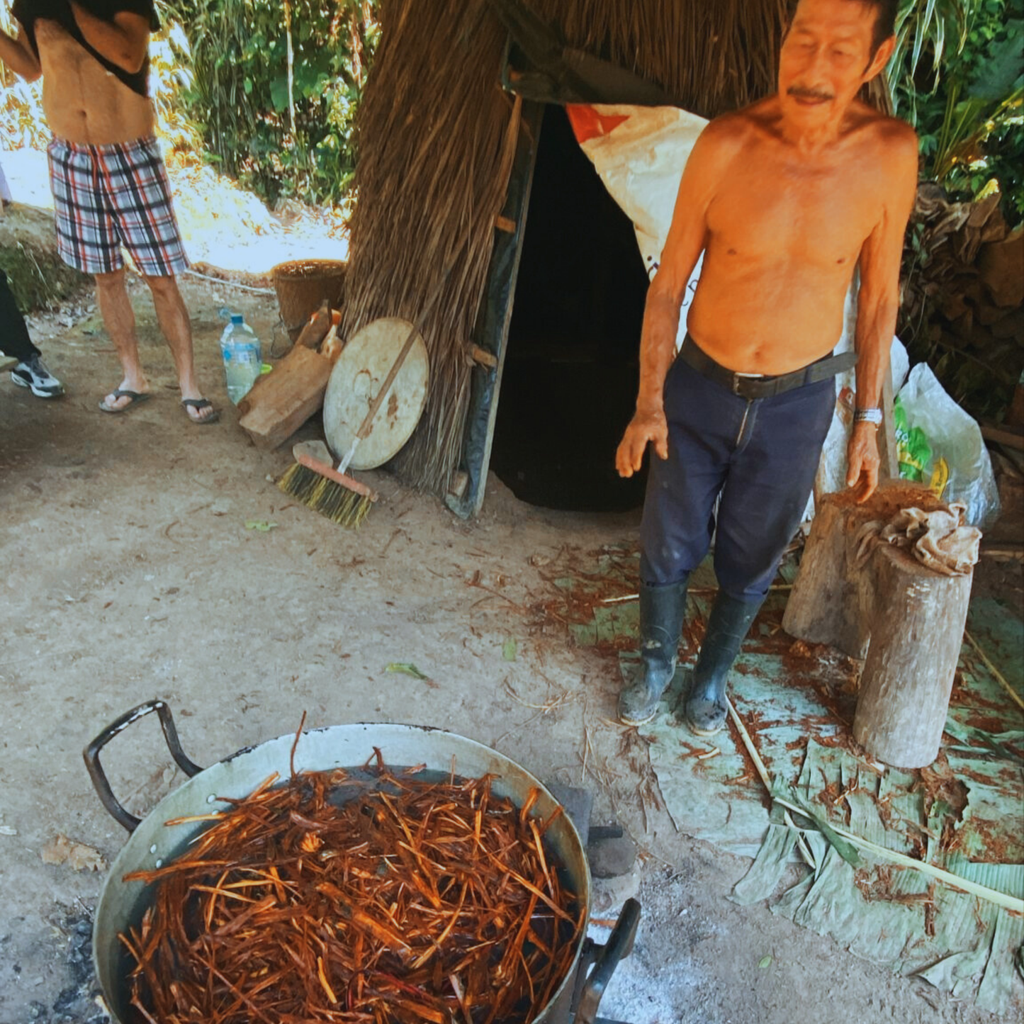 Ayahuasca ceremonies with Shaman José "Papito" Licuy